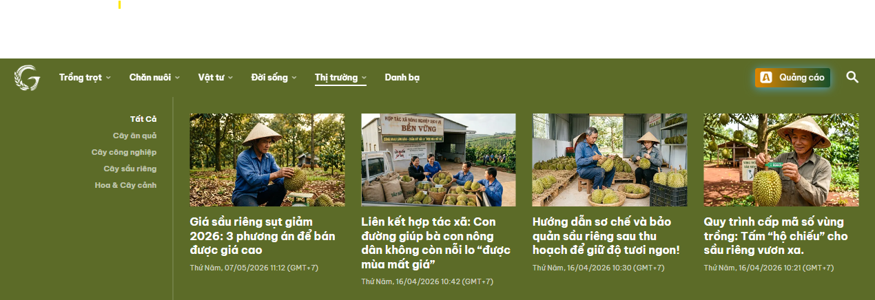 Phân loại khoa học trên thiết kế Website Gặt