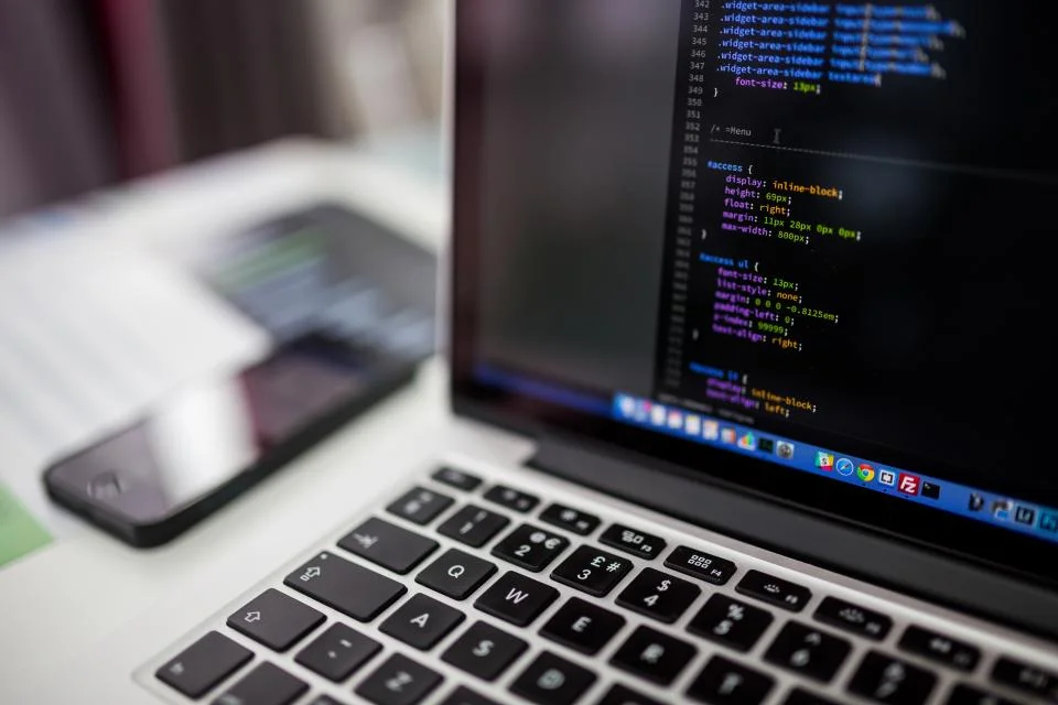Plugin và theme là gì - ảnh minh hoạ