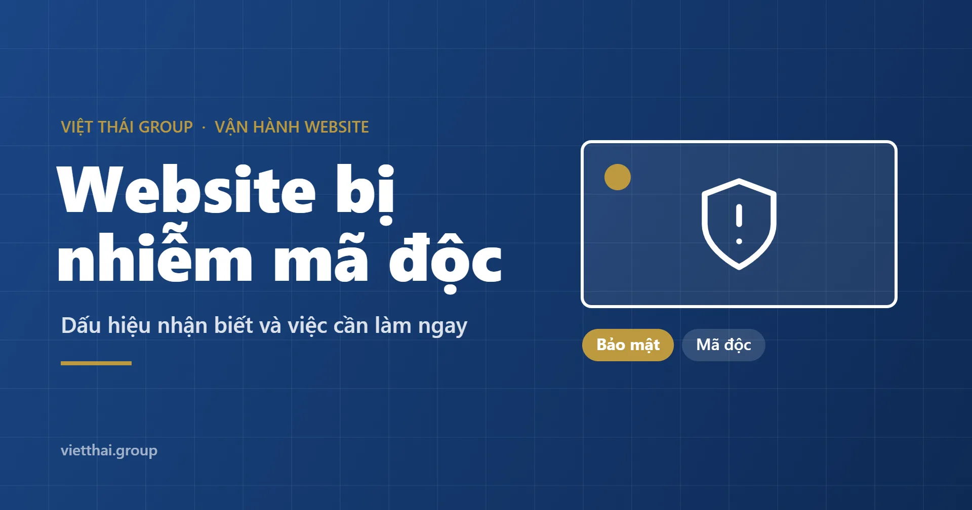 Website bị nhiễm mã độc: dấu hiệu nhận biết và việc cần làm ngay