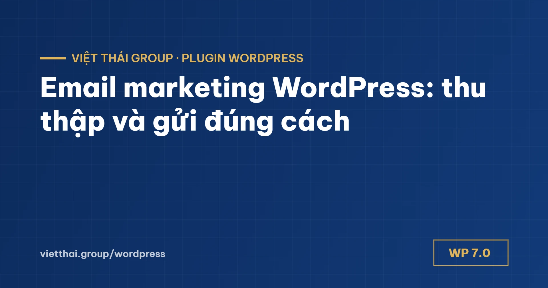 Email marketing WordPress: thu thập, gửi đúng cách, không vào spam