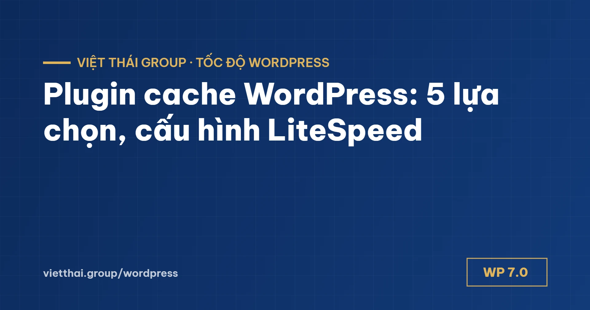 Plugin cache WordPress: so sánh 5 lựa chọn và cách cấu hình LiteSpeed Cache