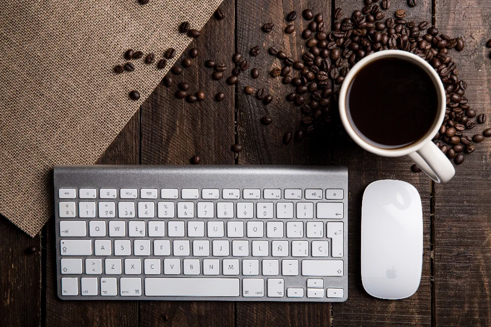 Staging wordpress - ảnh minh hoạ